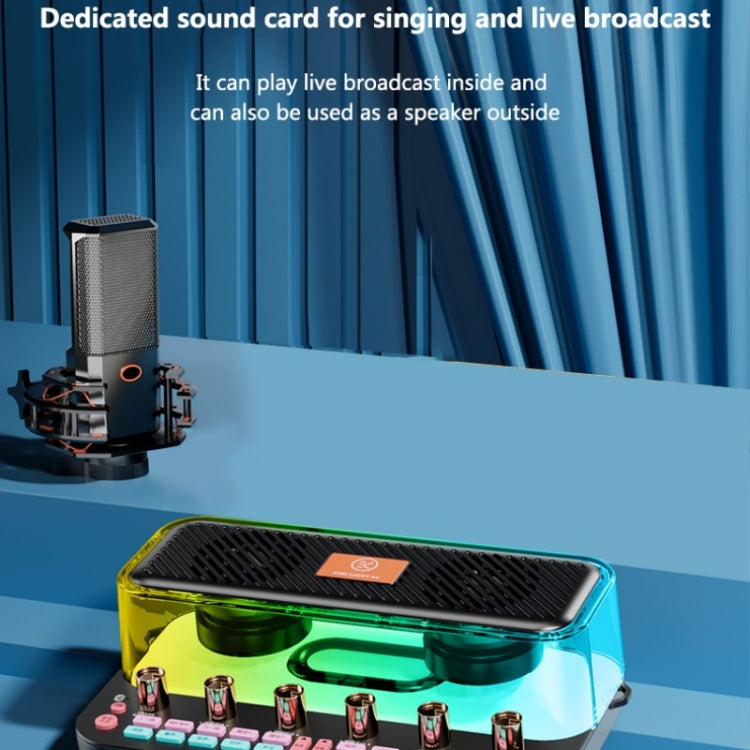 C18 Home Sound Card Karaoke Audio Integrated Microphone Equipment Full Set