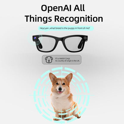 Lunettes intelligentes G300, prenant en charge la traduction IA / la prise de photos / les appels vocaux