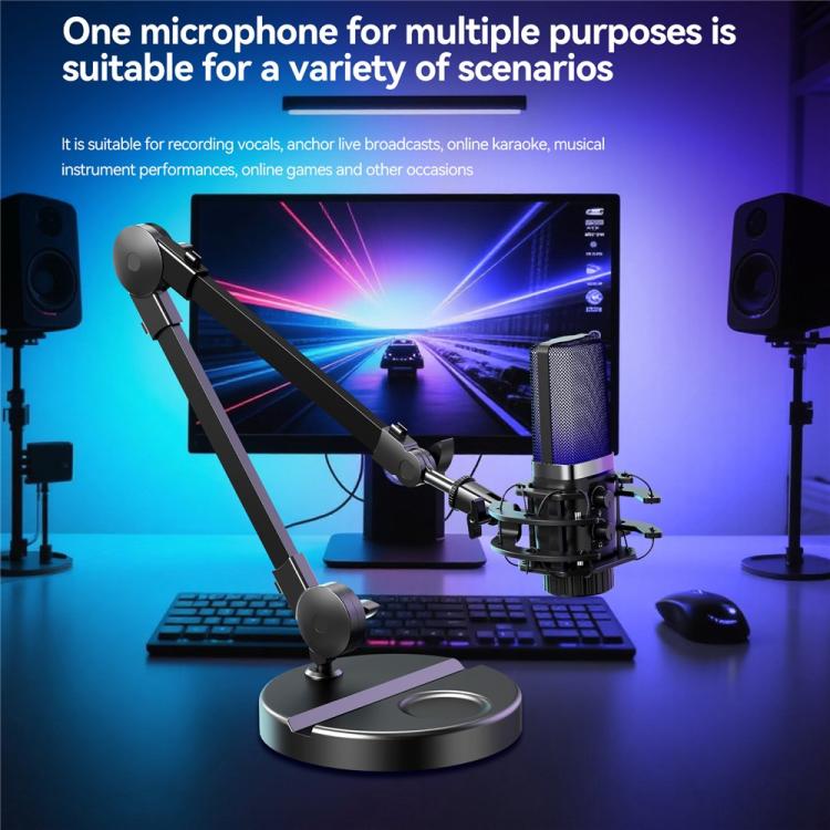 YANMAI X3R For Live Streaming / Recording RGB Lighting Desktop Noise Reduction Capacitor Microphone