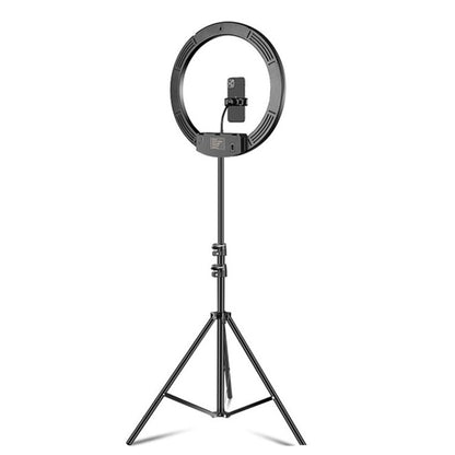 Dimmable Color Temperature LED Ring Fill Light Live Broadcast Set, 14 inch+Phone Clip With 2.1m Tripod Mount, CN Plug, 14 inch+3 Phone Clips With 2.1m Tripod Mount, CN Plug, 14 inch+4 Phone Clips+Microphone Pole With 2.1m Tripod Mount, CN Plug         ...