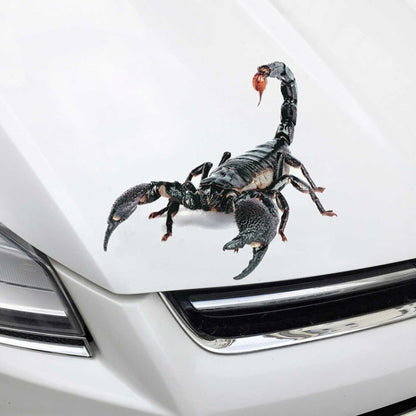 Creative Personality Scratch Cover  Car Body Sticker, Black Spider, Spider Pair, Scorpion, Lizard