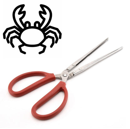 Pince à crabe, pince à loche, outil marin, pince droite 30 cm, pince droite 38 cm, pince courbée 38 cm, pince droite 53 cm, pince courbée 53 cm