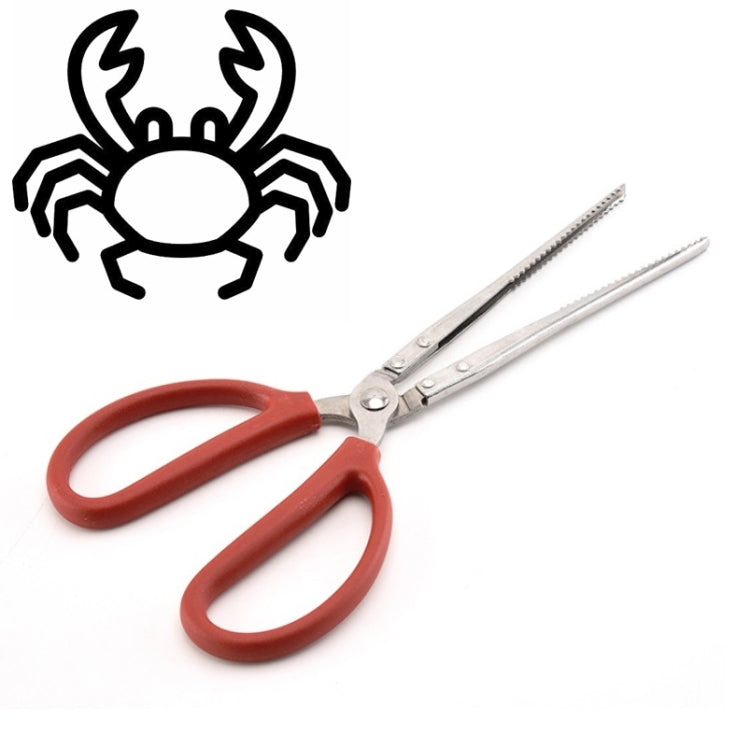 Pince à crabe, pince à loche, outil marin, pince droite 30 cm, pince droite 38 cm, pince courbée 38 cm, pince droite 53 cm, pince courbée 53 cm