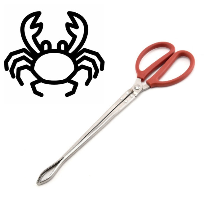 Pince à crabe, pince à loche, outil marin, pince droite 30 cm, pince droite 38 cm, pince courbée 38 cm, pince droite 53 cm, pince courbée 53 cm
