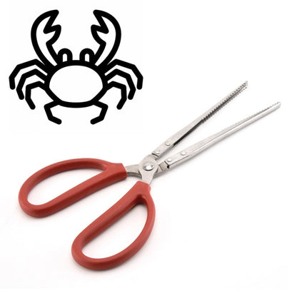 Pince à crabe, pince à loche, outil marin, pince droite 30 cm, pince droite 38 cm, pince courbée 38 cm, pince droite 53 cm, pince courbée 53 cm