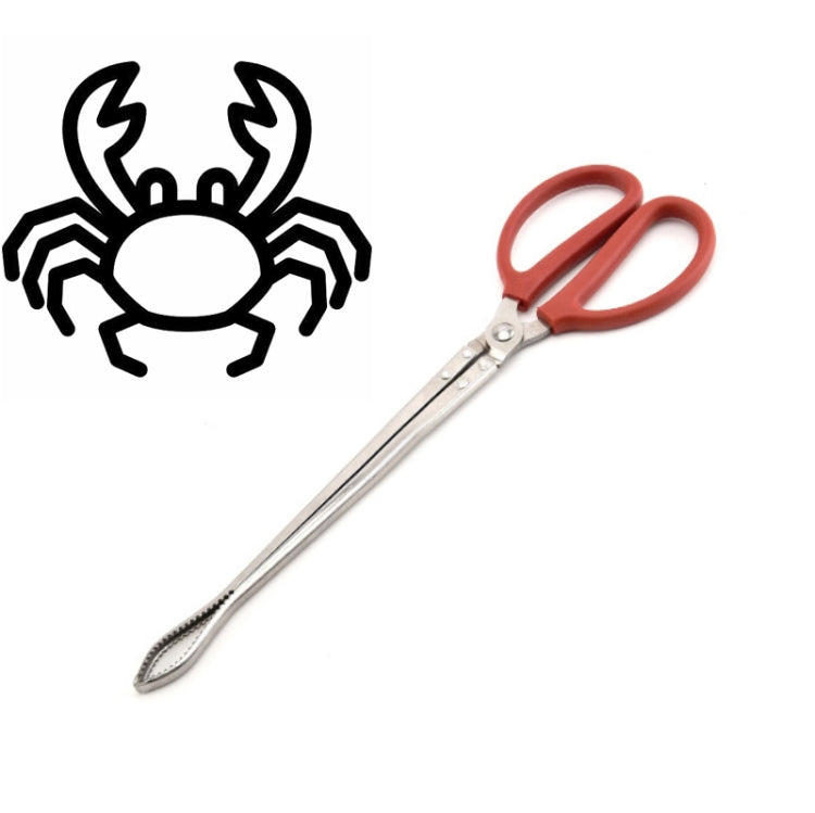Pince à crabe, pince à loche, outil marin, pince droite 30 cm, pince droite 38 cm, pince courbée 38 cm, pince droite 53 cm, pince courbée 53 cm