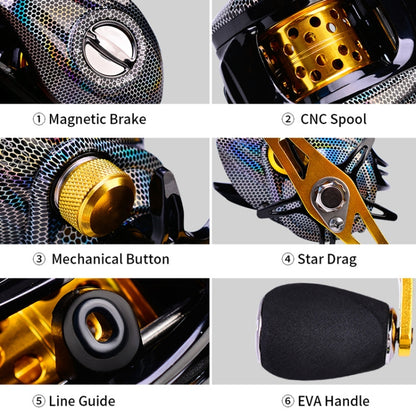 PROBEROS Metal Drop Wheel 18+1 Axis Lure Fish Wheel, Style:, DW132PL Left Hand, DW132SR Right Hand, DW132WR Right Hand, DW132WL Left Hand, DW132PR Right Hand