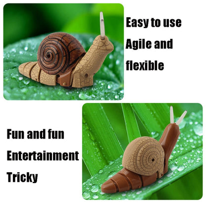 7701 Enfants Télécommande électrique infrarouge Escargot Simulation animal de compagnie difficile, Escargot (Gris), Escargot (Marron)