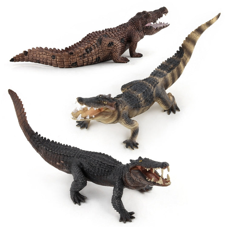 Modèle de Crocodile de Simulation en PVC, Jouet de Décoration Statique d'Animal Sauvage, LX829, PL127-888, PL127-923, Lot de 3 Pièces