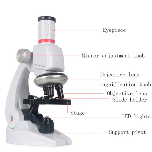 Early Education Biological Science 1200X Microscope Science And Education Toy Set For Children, S, L