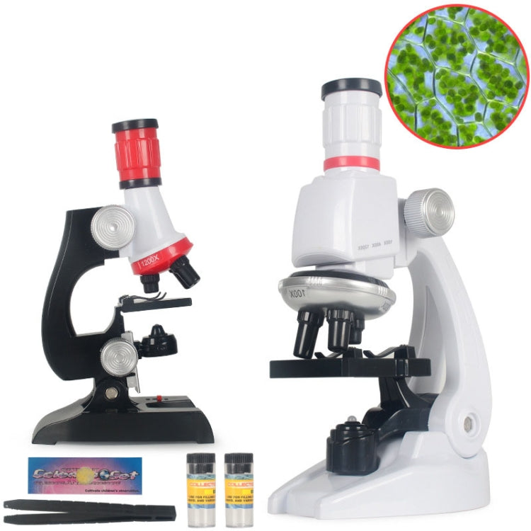 Early Education Biological Science 1200X Microscope Science And Education Toy Set For Children, S, L