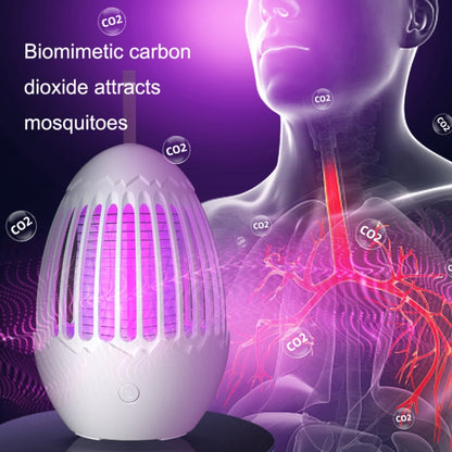 L01 Portable Electric Shock Mosquito Killer Lamp Home Outdoor Photocatalyst Fly Killer