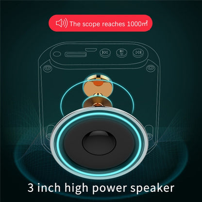 S17 Mini Portable Tour Guide Teaching Loudspeaker with Screen Display, S17 (Cool Black)