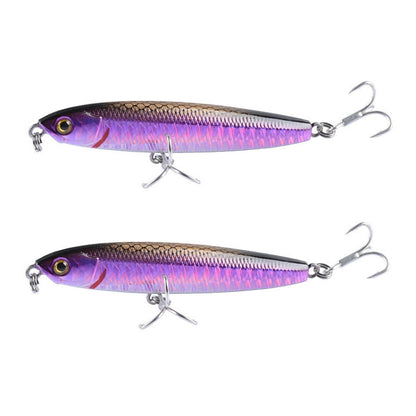 2 leurres durs CH79, coulants, à lancer loin, forme crayon, Spécifications : 10,4 cm 18 g