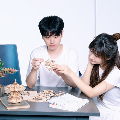 3D Three -Dimensional Puzzle Board Children Wood Puzzles Model, Rolife TG301 Airplane, Rolife TG401 Ferris Wheel, Rolife TG403 Camera, Rolife TG404 Rotating Trojan, Rolife TG501 Eiffel Tower, Rolife TGN01 Eight Sound Box, Rolife TG306 Cruise