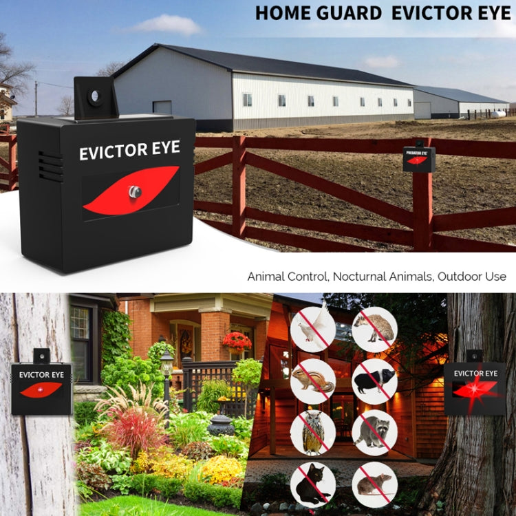 Solar Farm Wild Eagle Eye Animal Repeller, SK191 1pc, SK191 2pcs