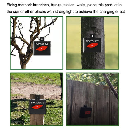 Solar Farm Wild Eagle Eye Animal Repeller, SK191 1pc, SK191 2pcs
