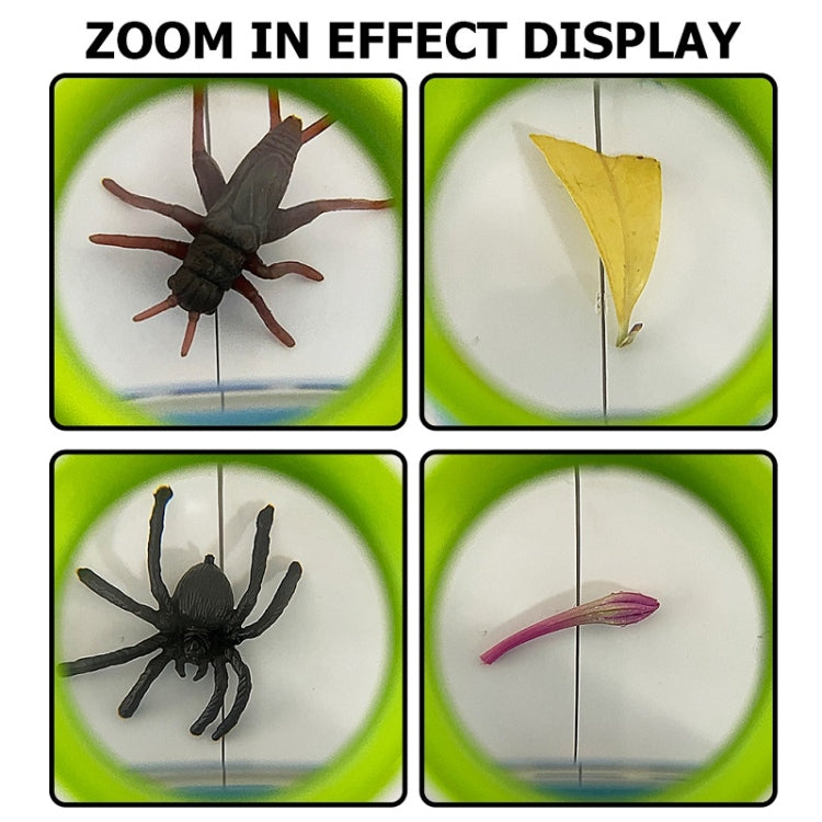 Loupe d'observation scientifique pour enfants (animaux et plantes), grossissement 5X