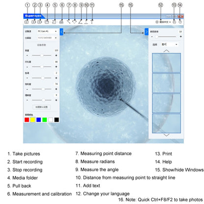 5 Million Digital Electron Microscope Magnifying Dermatoscope, B008 Not Waterproof, B008 Waterproof, B008+10 inch Screen, B008 Waterproof+10 inch Screen, B008+WIFI Box (Mobile Version), B008 Waterproof+WIFI Box (Mobile Version), B008+Z001 Bracket������...