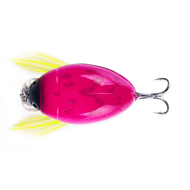 HENGJIA Insecte Flottant dans l'Eau Leurre Bionique Coléoptère Surface de l'Eau Basse Tap Leurre Artificiel, 1, 2, 3, 4, 5, 6, 7, 8, 8 Couleurs en Sachet, 8 Couleurs en Boîte