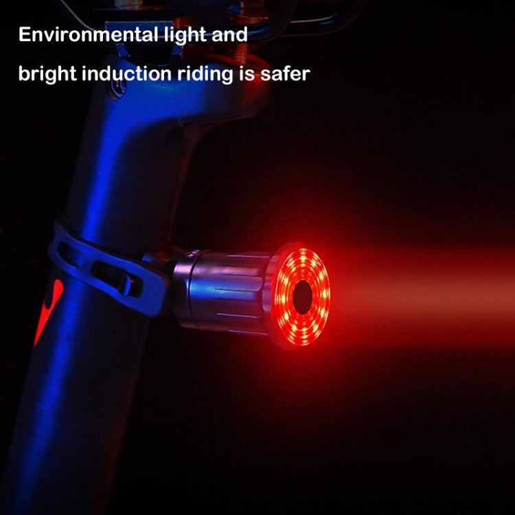 WEST BIKING Bicycle USB Charging Smart Brake Sensor Warning Tail Light, Cushion, Sit Tube