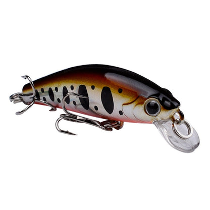 Leurre flottant PROBEROS DW592, leurre de pêche, appât artificiel, appât dur en plastique bionique