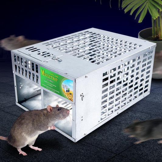 Piège à souris automatique d'intérieur, grande cage à souris à double porte