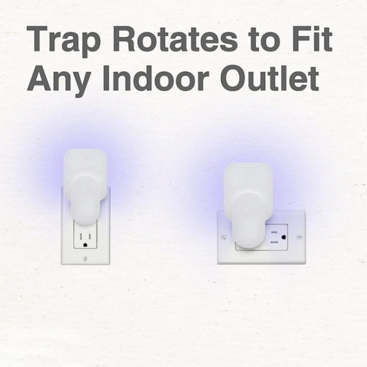Plug-In Refillable Fly Trap For Flies, Moths, Gnats, And Other Flying Insects With 2 Glue Cards