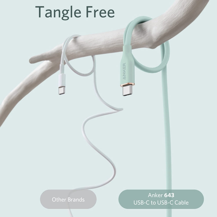 ANKER A8553 Powerline III 1.8m Skin Friendly Dual Type-C Data Cable PD100W Fast Charging Cable, 1.8m
