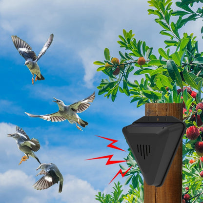 N911Q Répulsif Solaire pour Oiseaux Verger et Étang à Poissons Répulsif pour Animaux