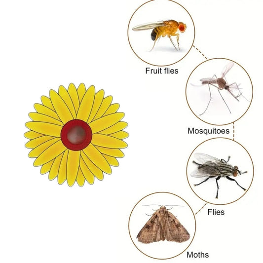 3 pièges à mouches en papier insecticide adhésif pour fenêtres