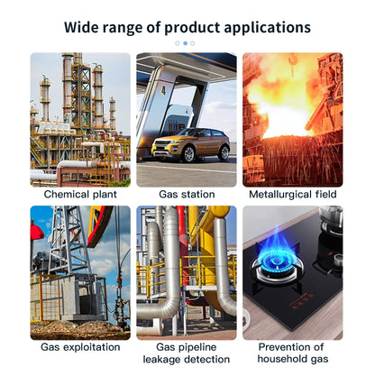 Portable Flammable Gas Methane Leak Detector Alarm