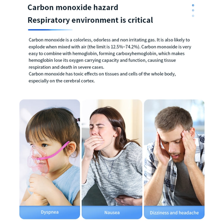 Portable Carbon Monoxide Detector Outdoor Home Detection Alarm, D6 Gray, D6 Blue