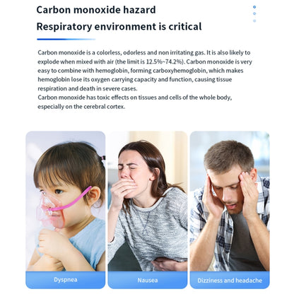 Portable Carbon Monoxide Detector Outdoor Home Detection Alarm, D6 Gray, D6 Blue