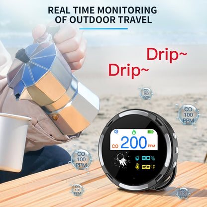 Portable Waterproof Carbon Monoxide Alarm Detector