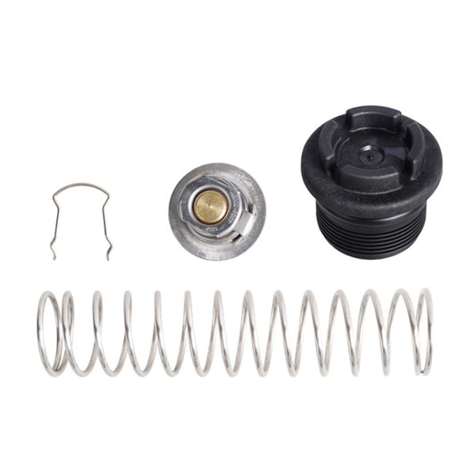 Kit de remplacement de régulateur de chauffage de spa et piscine pour Pentair MasterTemp Sta