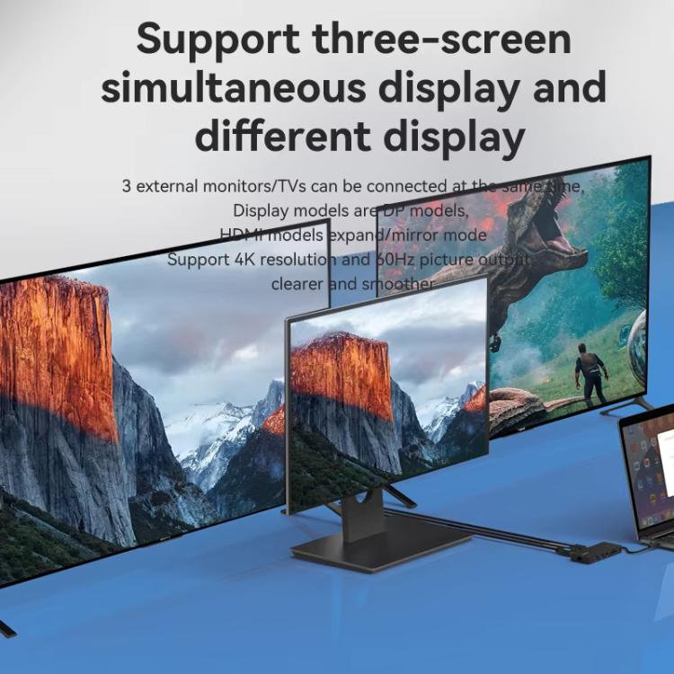 Blueendless Type-C Gigabit Ethernet Port Multi-Screen Different Display HUB, DP x 2 + HDMI, HDMI x 2 + DP