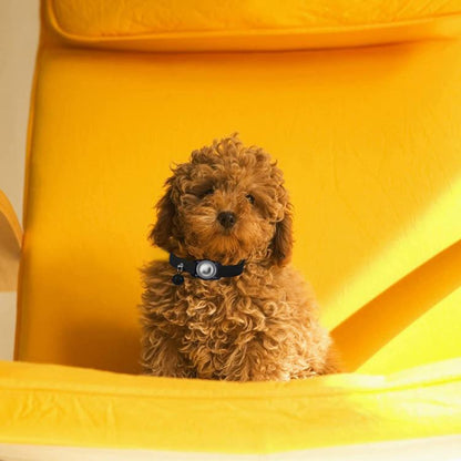 For AirTag Tracker Waterproof Protection Case Pet Leather Collar Anti Lost Cat Locator Collar