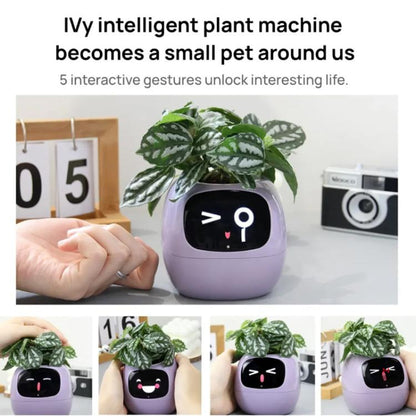 Intelligenter Pflanzentopf mit Multisensoren, WLAN-Pflanzenmonitor mit 2-Zoll-Bildschirm, kompatibel mit dem Mi/Tuya Home Ökosystem