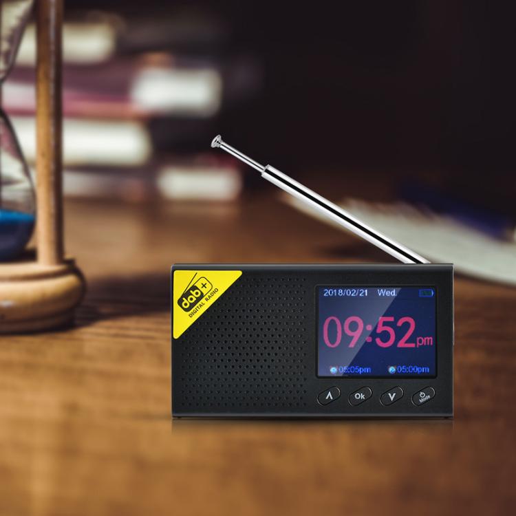 Portable Digital Radio In-Car DAB Digital Radio