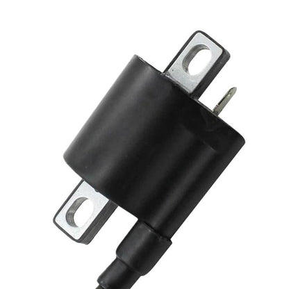 For Yamaha Rapotor 350 Motorcycle Ignition Coil 3KJ-82310-10-00, For Yamaha