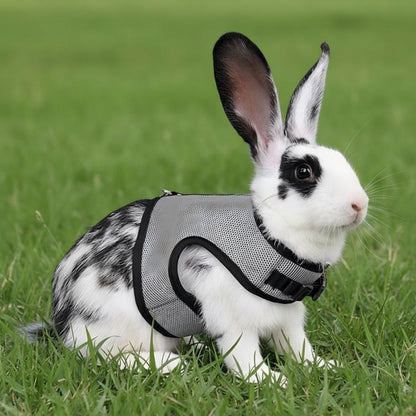 Rabbit Ferret Harness & Leash Small Pet Vest-Style Harness Leash, M, L, S