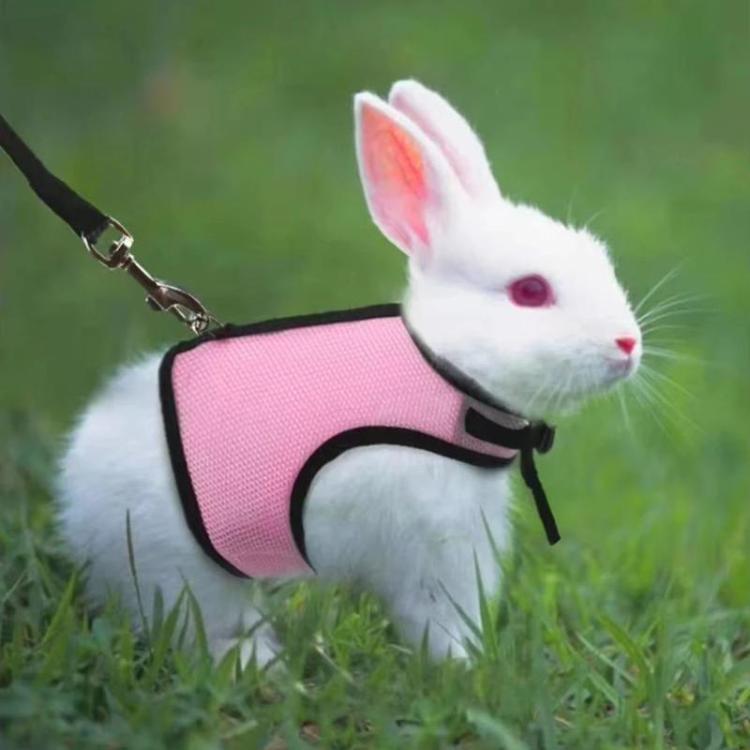 Rabbit Ferret Harness & Leash Small Pet Vest-Style Harness Leash, M, L, S