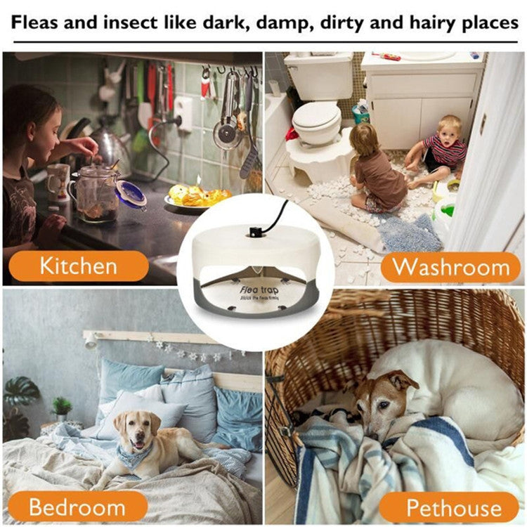 Flea Trap Pet Home Flea Lamp, EU Plug, AU Plug