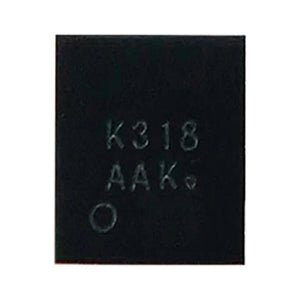 Audio IC Module K318, K318 - ORIWHIZ