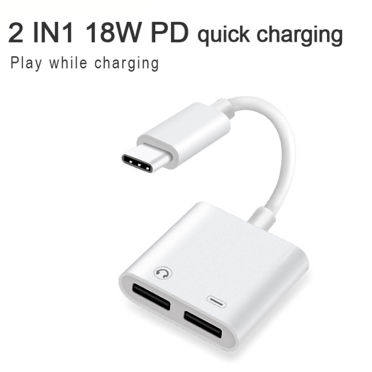FT_AC42 2 in 1 18W PD USB - C / Type - C Male to USB - C / Type - C Audio + USB - C / Type - C Charging Female Audio Adapter - ORIWHIZ