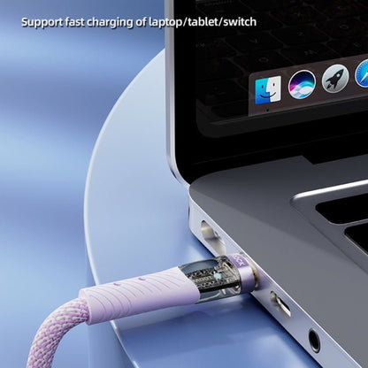 ROCK Z21 100W USB - C/Type - C to USB - C/Type - C Transparent Fast Charging Data Cable, Length: 1.2m, Type - C to Type - C - ORIWHIZ