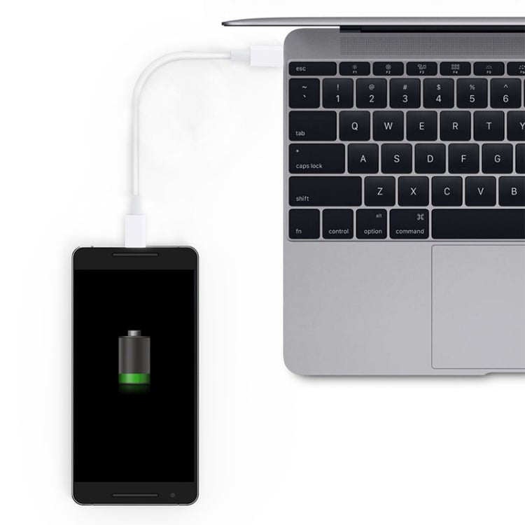 USB - C / Type - C to USB - C / Type - C PD Fast Charging & Sync Data Cable, Cable Length: 14cm, 14cm Type - C to Type - C White - ORIWHIZ