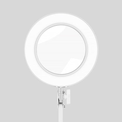 USB Desktop LED Ring Light Welding Auxiliary Magnifying Glass Lighting Desk Lamp, USB (White) - ORIWHIZ