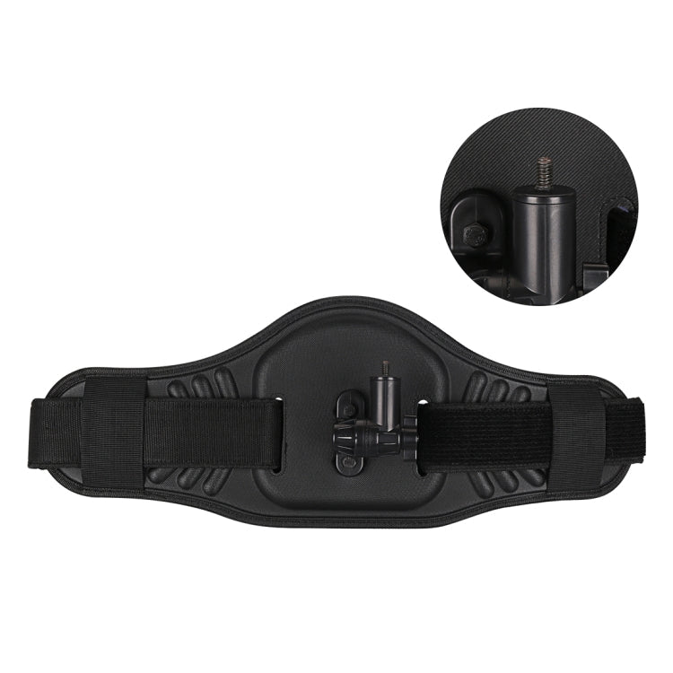 Waist Belt Mount Strap with Adapter & Screw for GoPro, Insta360, DJI and Other Action Cameras - ORIWHIZChest BeltDJI & Insta360 AccessoriesUniversal Chest & Head Belt